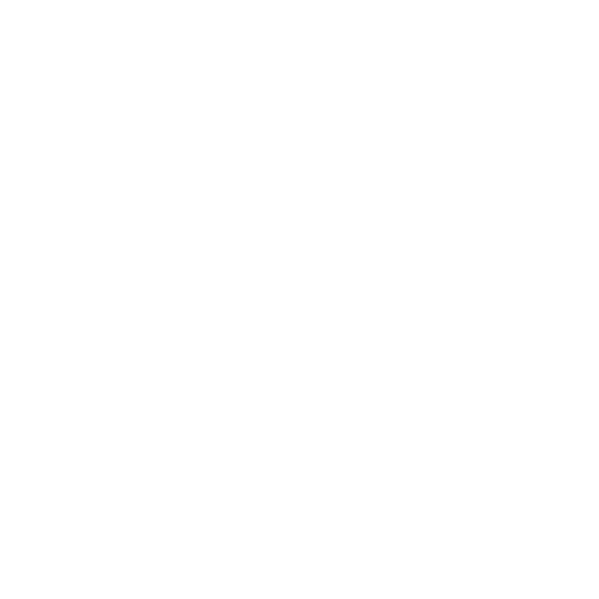 German Web Award Winner 2024